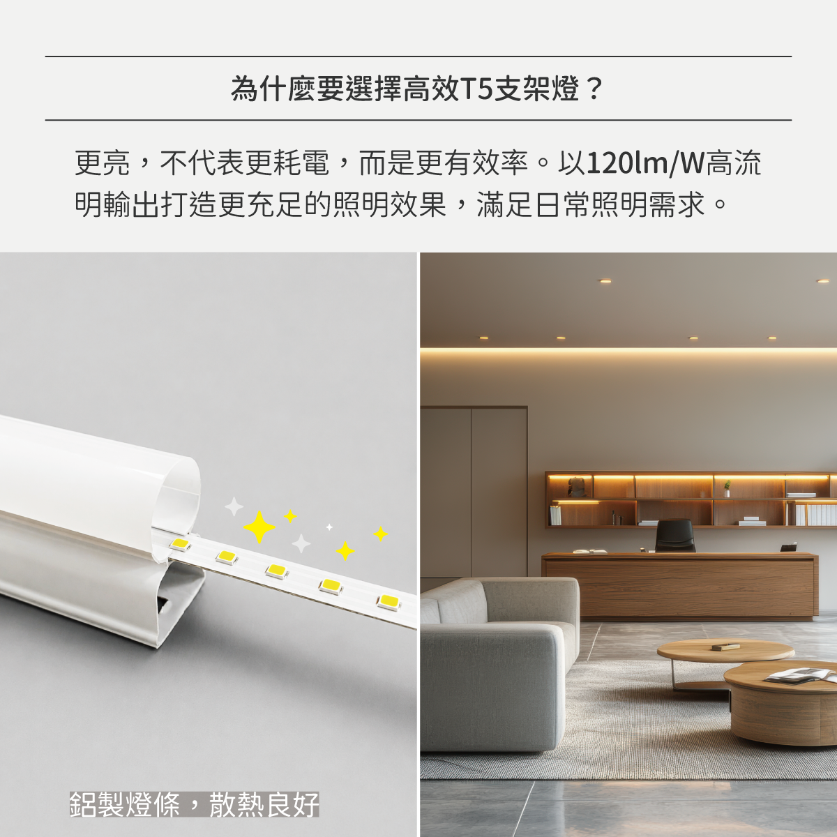 T5高效支架燈:圖片 3